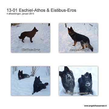 Eschiël-Athos en Eisitbus-Eros genieten van de vele sneeuw die Den Haag treft